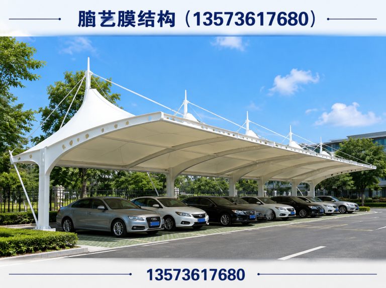 昌乐县膜结构车棚展示图